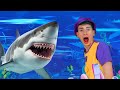 Sharks in the Water! 🦈 & Naughty Kid + MORE  | Kids Funny Songs
