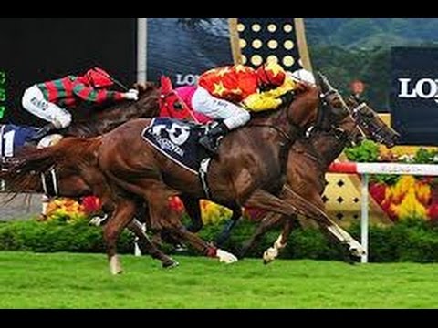 2013 Longines Singapore Gold Cup
