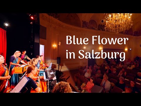 Blue Flower - concert in Salzburg, Austria | September 2024