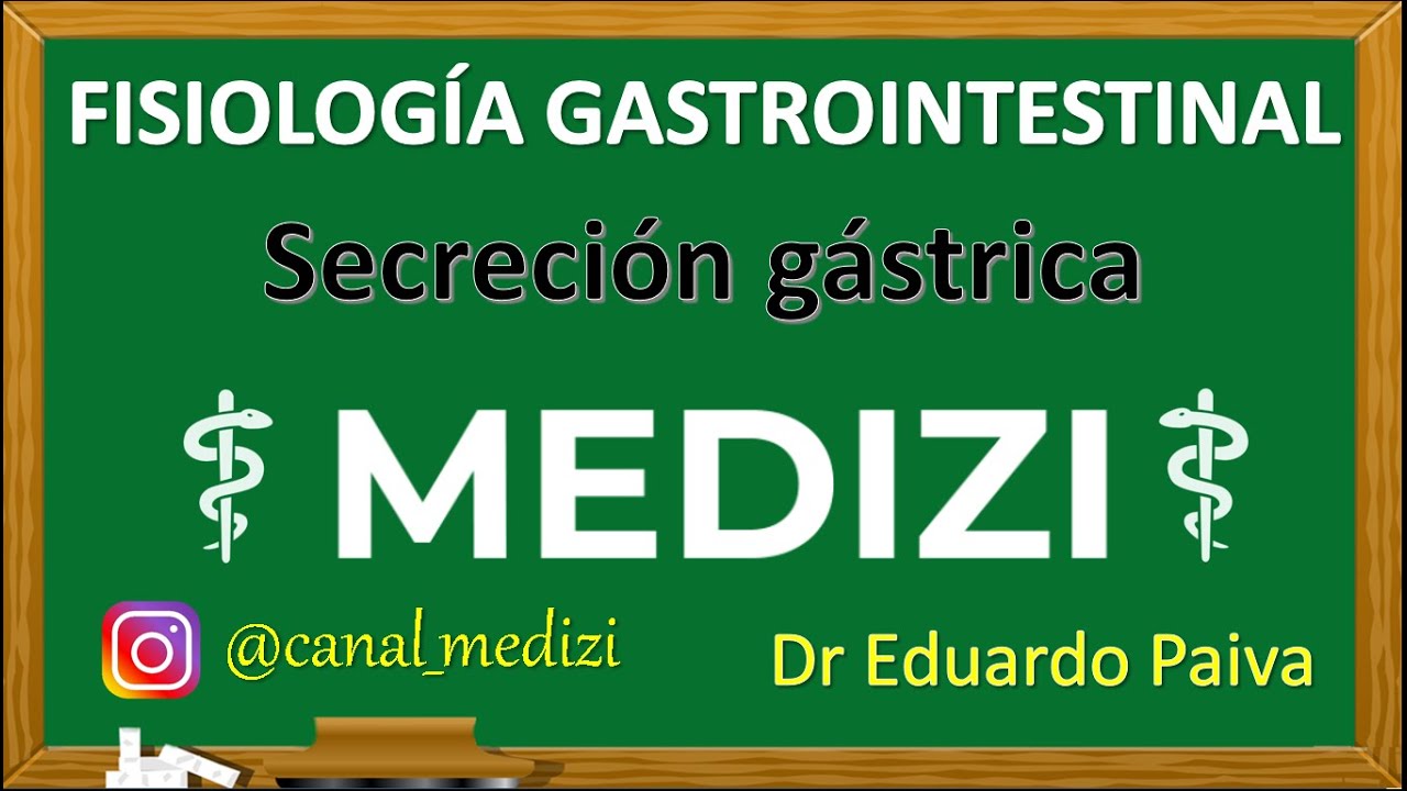 Clase 49 Fisiología Gastrointestinal - Secreción Gástrica (IG:@doctor.paiva)