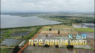 K-농업, 지구촌 식량위기를 넘어서다 | K-푸드와 K-농업의 잠재력을 확인하세요 2부