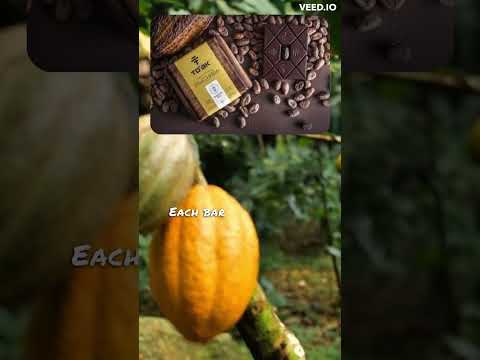 The Most Expensive Chocolate in the World!