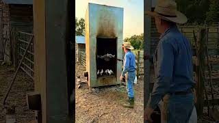 🧸 Lindo Cacto Dançante de Pelúcia Mexicana   Brinquedo de Pelúcia Elétrico