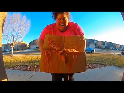 25 OF JANUARY 2026 TOP PORCH PIRATES FAIL OF THE DAY