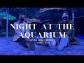 Georgia Tech Night At The Aquarium