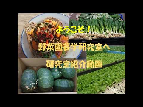 【山口大学OC2025／農学部／生物資源環境科学科】5 野菜園芸学分野