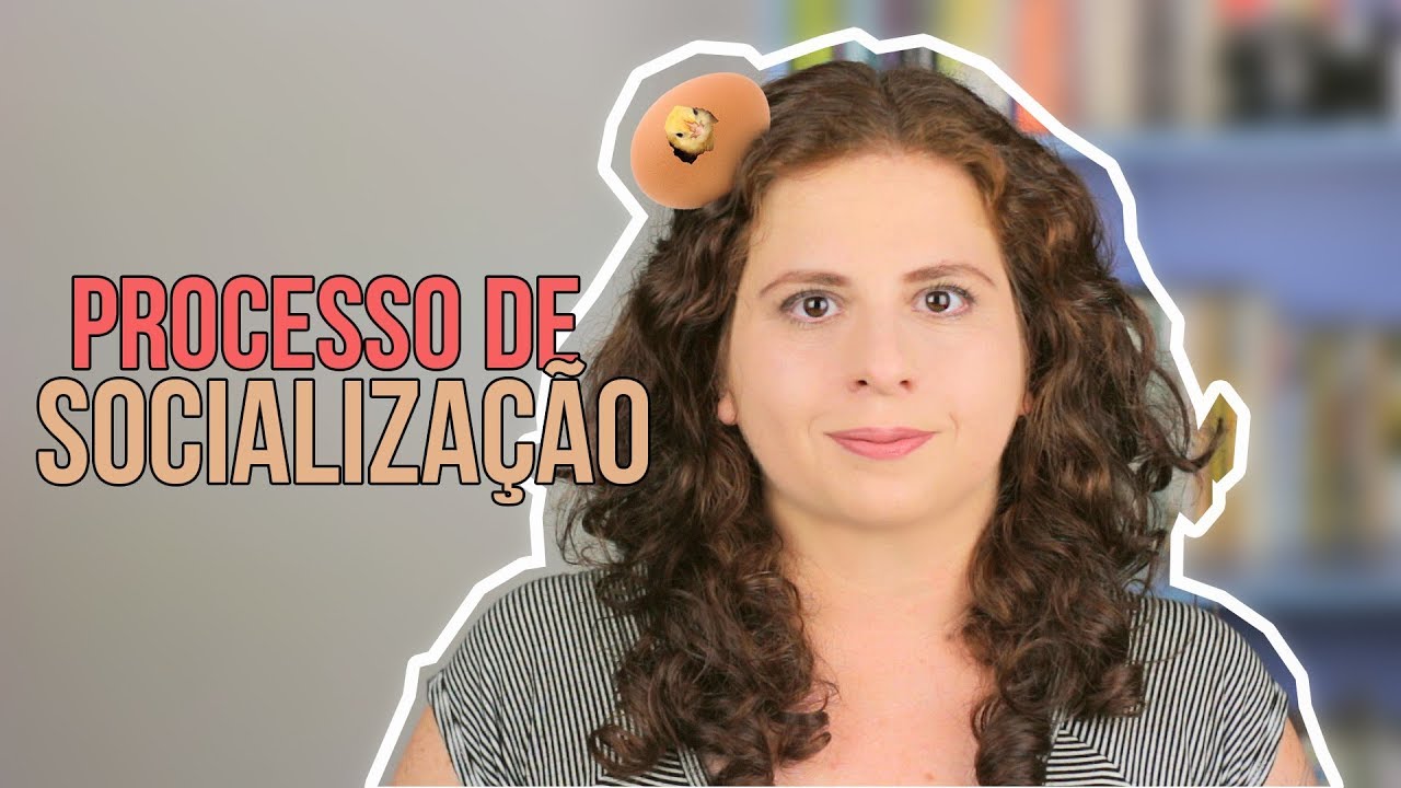 Processo de Socialização: Mecanismos e Níveis de Socialização [1/3]