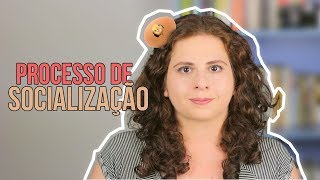 Processo de Socialização: Mecanismos e Níveis de Socialização [1/3]