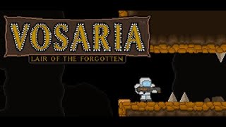 Vosaria: Lair of the Forgotten 100% Trophy Guide : Heroic Mode Stage 10 ~ Stage 12 : Part 4 : PS4
