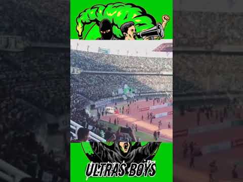 POZNAN DANCE PERSEBAYA🐊 #shorts #bonek #persebaya #bonita