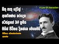 Tesla 369 Manifestation Technique | Law Of Attraction Sinhala