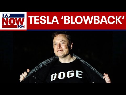 Video | Elon Musk's DOGE role to 'drop significantly' after Tesla profits plunge | LiveNOW from FOX