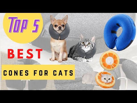 Cones For Cats - The Best Cones For Cats 2021