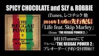 発表！SPICY CHOCOLATE and SLY & ROBBIE 『THE REGGAE POWER 2』発売決定！Skip Marleyも参加！[スパイシー]