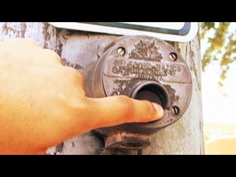 Do Crosswalk Buttons Really Work?