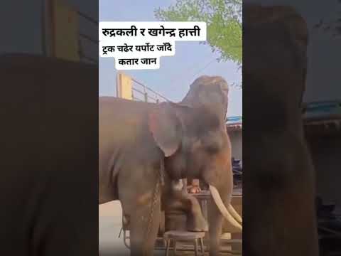 💔😭 bye have a safe journey khagendra ,rudrakali