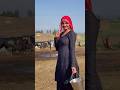Sajna Chhodo ​ PriyankachouhanVlogs