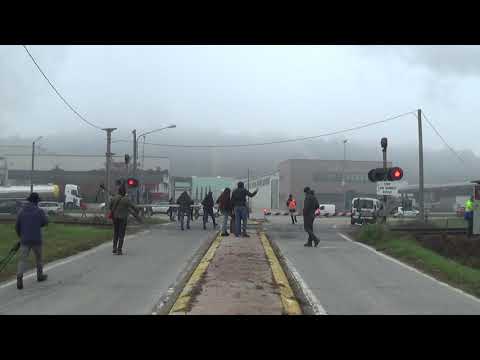 Passaggio a livello con semibarriere della SP 194 con treno a vapore - Neive (CN) / Level Crossing