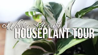 Winter Growth Houseplant Tour | + Bacterial Spot Problems 😥