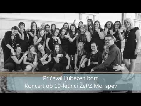 Pričeval ljubezen bom - ŽePZ Moj spev (Testify To Love)