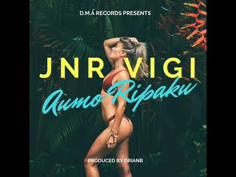 JNR VIGI - Aumo Ripaku