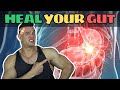 STEROIDS Ruined Your Gut The CURE Is Within