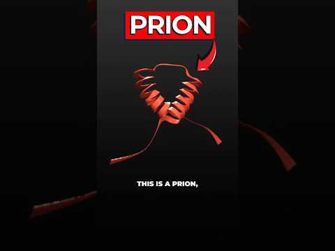 The True Story of the Family That Forgot How to Sleep