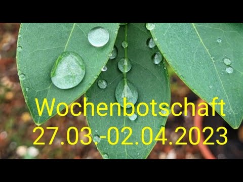 *Wochenbotschaft 27.03.-02.04.2023*