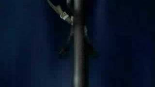 (amv) Hellsing_(ayria - the gun song )