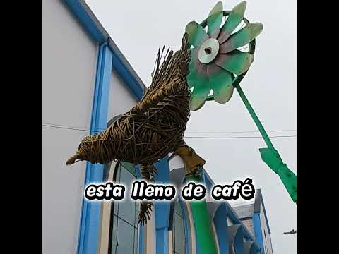 Esto no lo sabias.