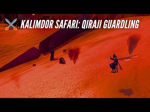 CozyAzeroth: Qiraji Guardling Pet & Completing the Kalimdor Safari Achievement (World of Warcraft)