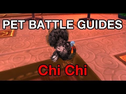 [WoW] Pet Battle Guides: Chi-Chi with only 2 pets