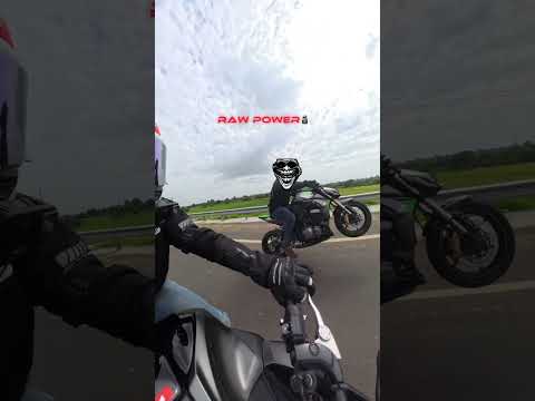 Crazy Z1000 Launch 🥵 | Raw Power of Kawasaki Z1000 | #z900 #z1000 |