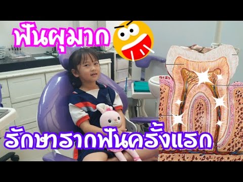 เชื้อโรคม้าในรัสเซีย นักบินและความอ่อนแอ