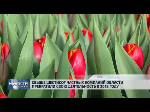 11.03.2019 / В области в 2018 году стало на шестьсот частных предприятий меньше