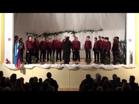 PAZ Vinko Vodopivec - Bori (A. Srebotnjak)