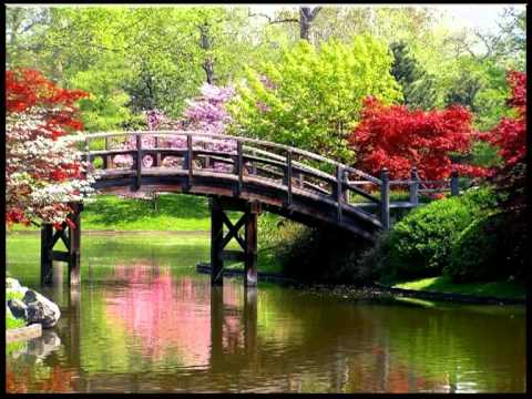 download lagu mp3 mp4 Feliz Primavera, download lagu Feliz Primavera gratis, unduh video klip Download Feliz Primavera Mp3 dan Mp4 Free All Gratis