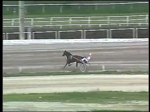 Trotto 26/03/2015 - 2° prova di riqualifica