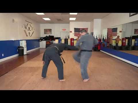 An example of the American Kenpo technique Capturing the Rod