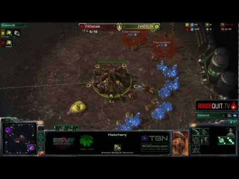 ZeNEX.Life(Z) v FXO.Whale(Z) - G1 - Muspelheim - KWS3W6 - 6.23.2012