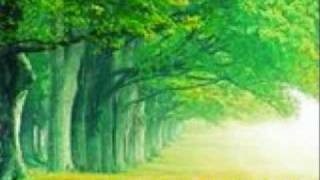 Audio Summer - I&#39;ll Love You Forever