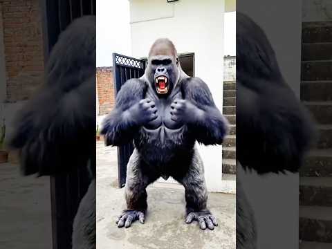 Sabko mila gift 🎁🥰#shorts #funny