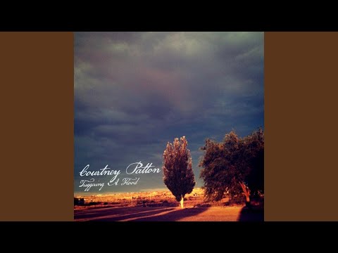Its A Shame - Courtney Patton
