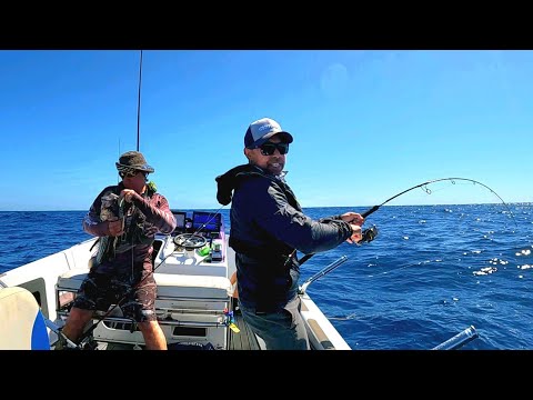 " 50km OFFSHORE Fishing - To Catch Some Of The Tastiest FISH "