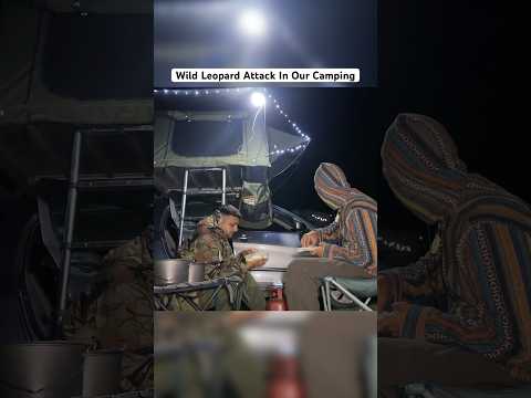 Wild Leopard Attack In Night Camping #camping #wildlife