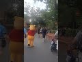Pooh S Tummy Trouble