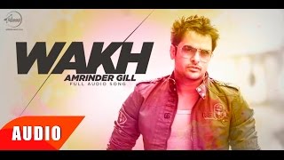 Wakh (Full Audio Song ) | Amrinder Gill | Yo Yo Honey Singh