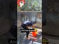 Desi Ladki Hot