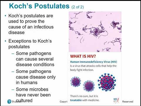 2117 Chapter 14 - Principles of Disease and Epidemiology