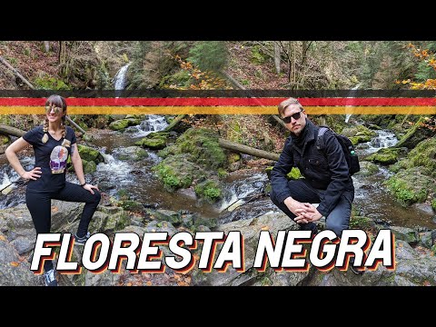 WE HIked the Black Forest in Germany 🇩🇪 | Germanizing in Baden-Württemberg